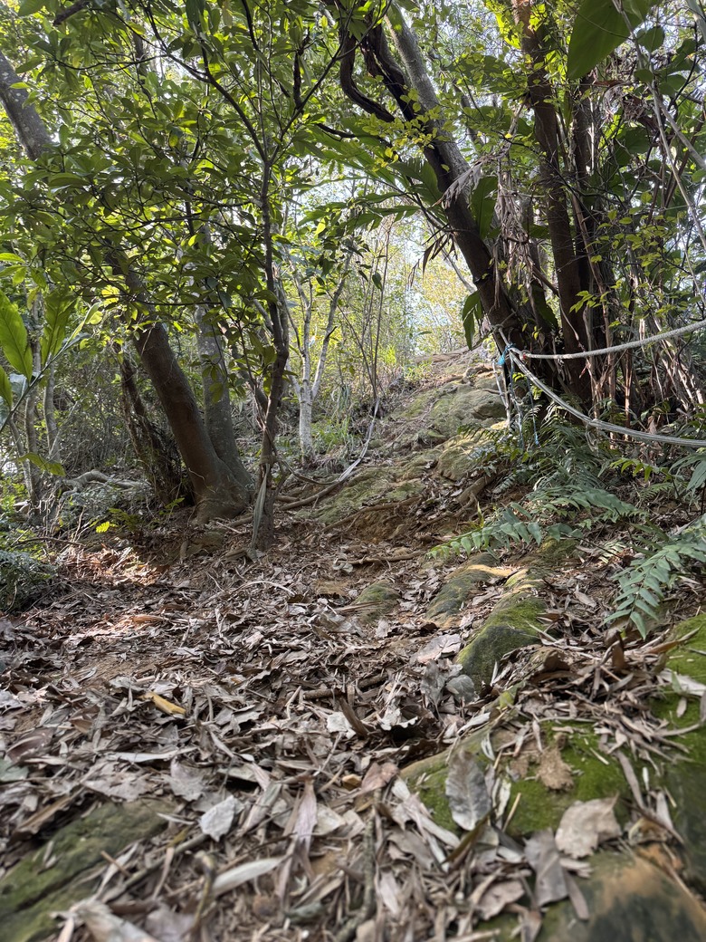 來去家裡附近郊山走一圈 #水尾潭山-#老鷲尖山-#老鷲尖南峰-#汐止鷹石尖-#內溝山-內溝生態館O型