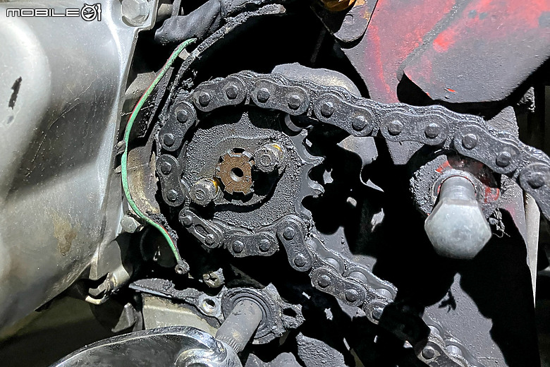 老野狼整新紀錄｜期望再戰十年伴兒同行！