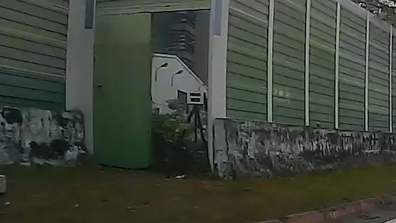 新測速三腳架?!