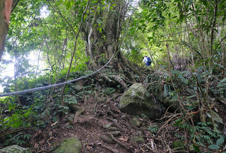【獵人古道】 玉山群峰腳下一條充滿布農族文的中級山古道 | 望美山 | 瓊山