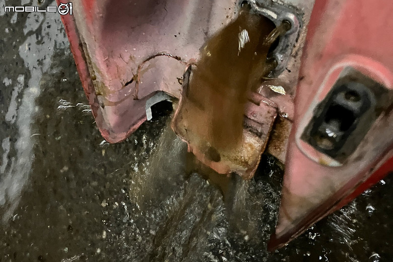 老野狼整新紀錄｜期望再戰十年伴兒同行！