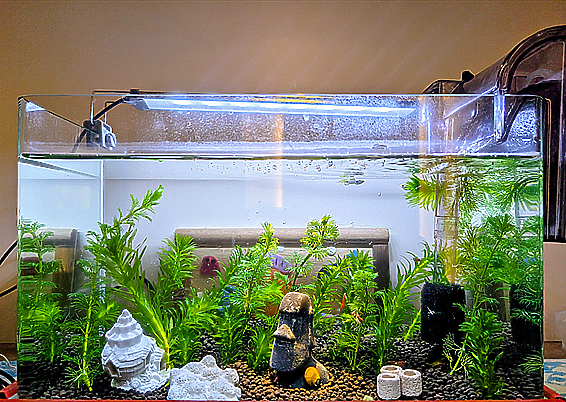 【開箱】輕奢風｜台中四房換屋宅｜波光粼粼的聖誕禮讚