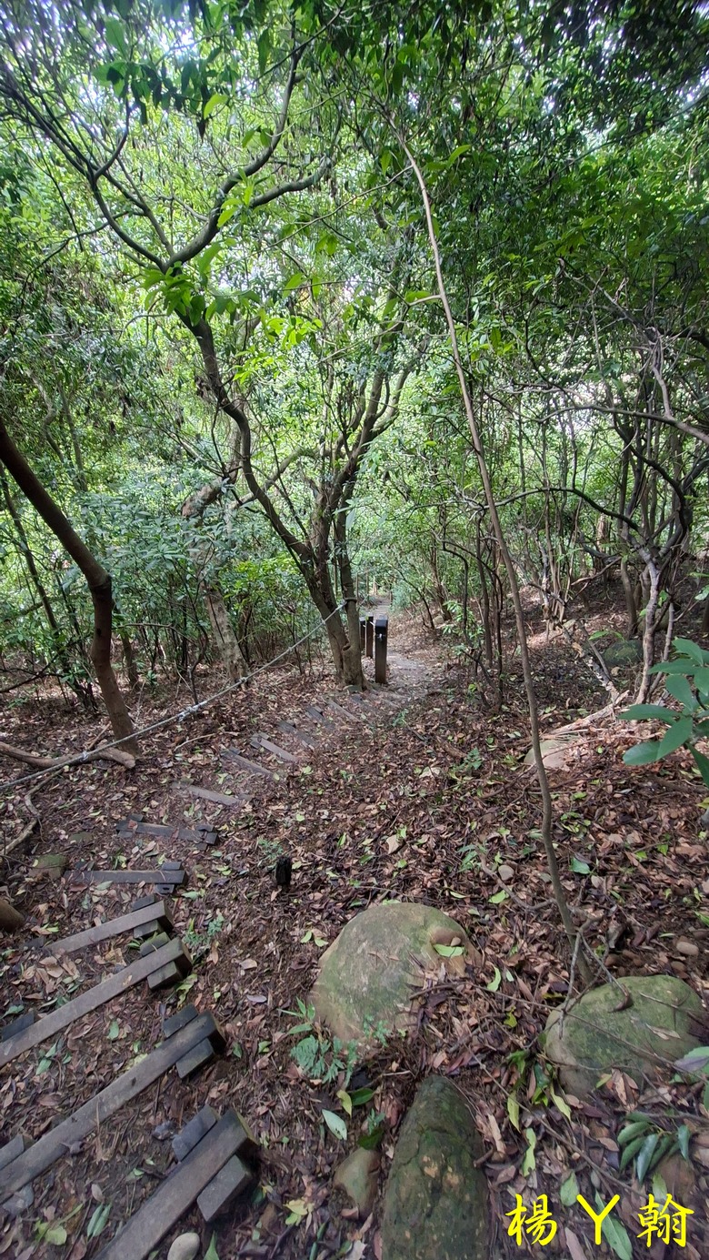 【郊山走走】尖凍山、瓊子湖山、山腳頂山 輕鬆走