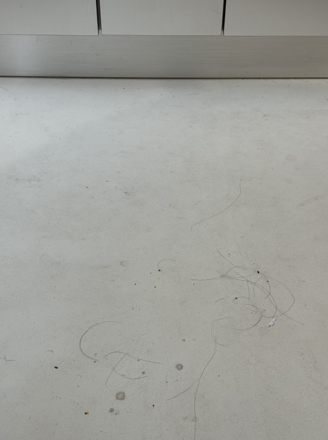 開箱 dyson 戴森 Clean+Wash Hygiene 深層潔淨洗地機