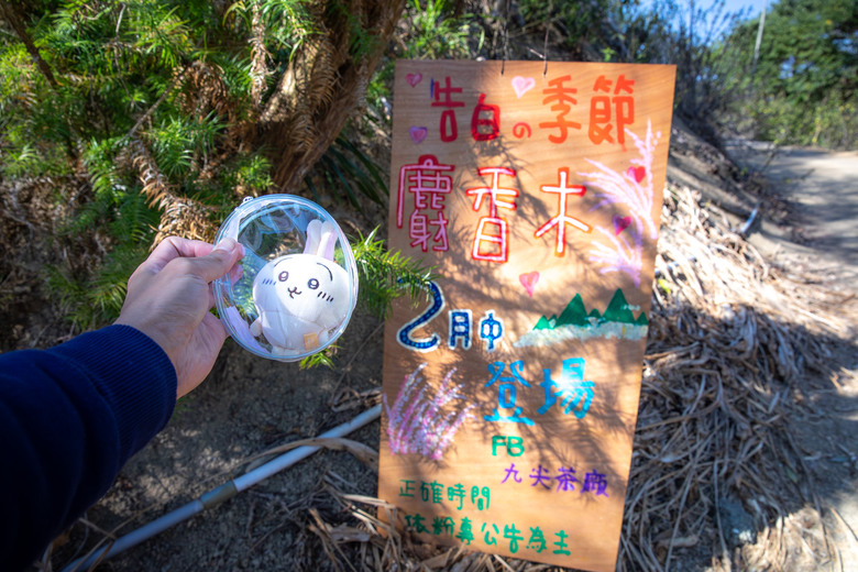 點我看大圖 南投國姓鄉賞梅小旅行|冬末年初最美風景