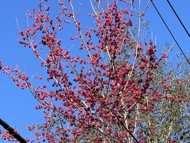 比玉山前峰還難爬的「南橫溪頭山」