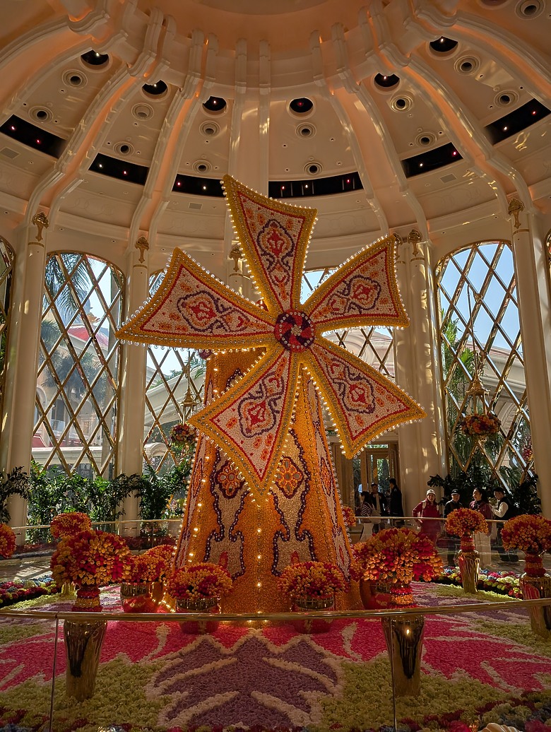 2025 澳門大白 澳門真的不大 100km 的 7日遊