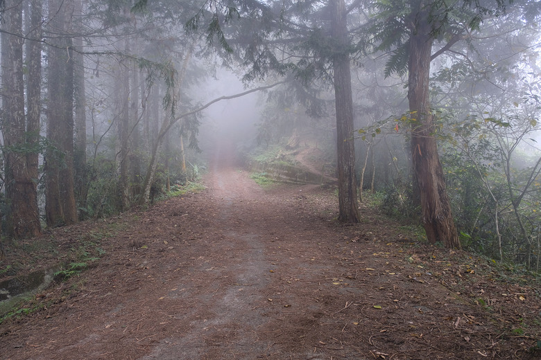 【獵人古道】 玉山群峰腳下一條充滿布農族文的中級山古道 | 望美山 | 瓊山
