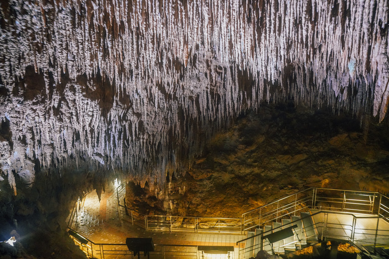 2025 沖繩耶誕之旅