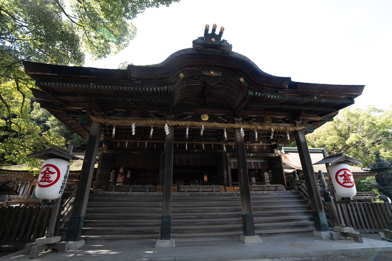 【遊記】2025二週日本遊:中國|四國|關西 - 前篇