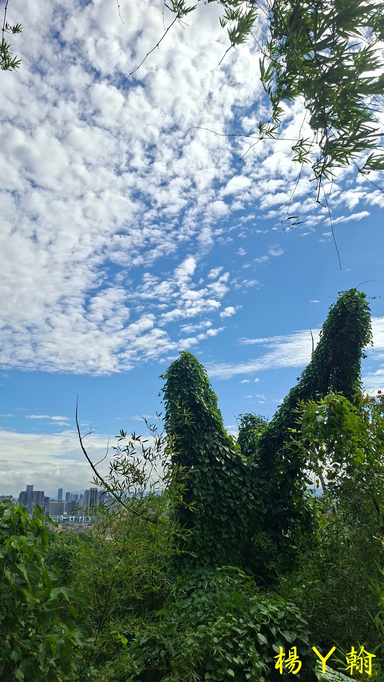 【郊山走走】尖凍山、瓊子湖山、山腳頂山 輕鬆走