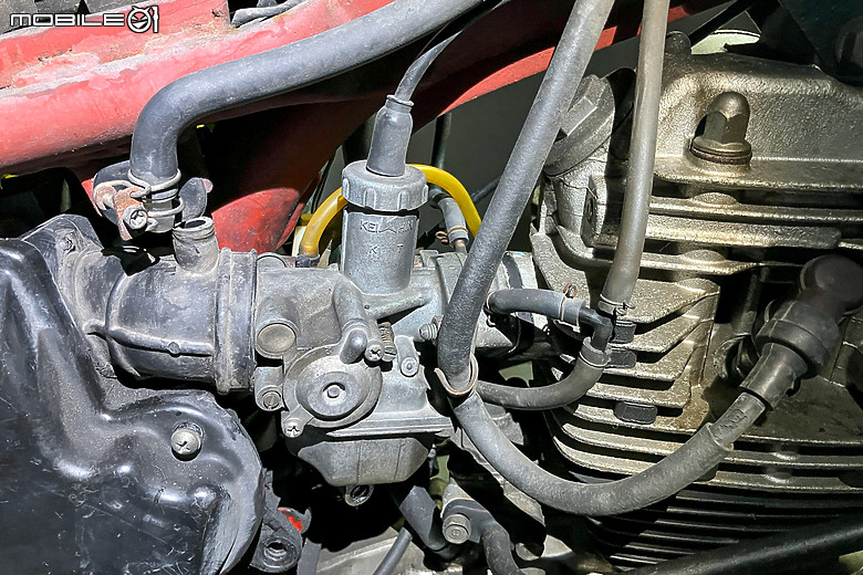 老野狼整新紀錄｜期望再戰十年伴兒同行！