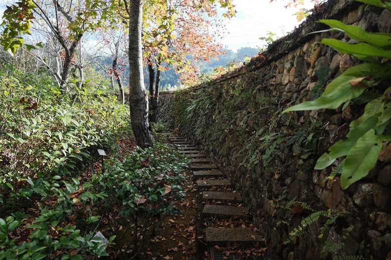 [分享]-Xiaomi 17 Ultra by LEICA體驗心得 (2/6更新)