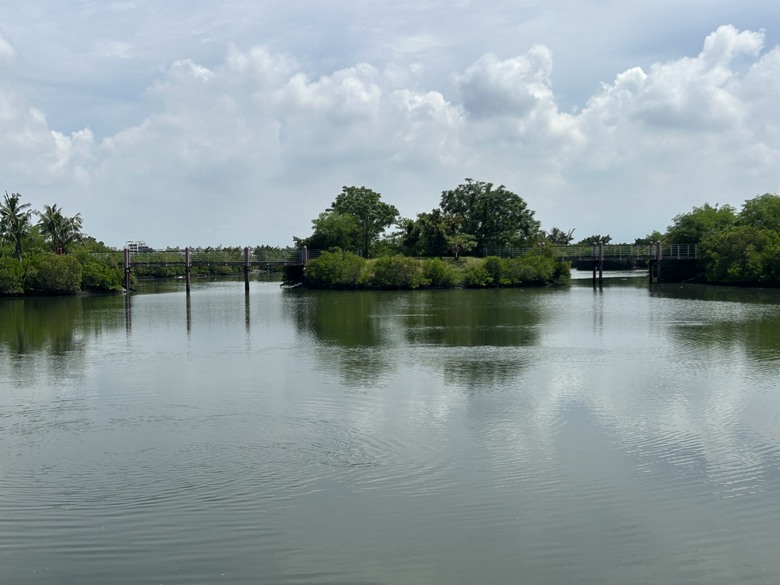 騎 遊 東 港 ( 大 鵬 灣 濕 地 公 園 )