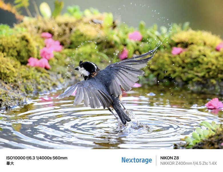 NEXTORAGE CFExpress B3-AE 500G記憶卡測試