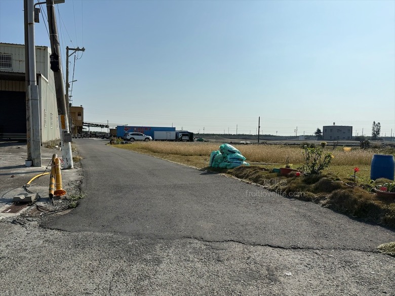 傳承四代工藝,烏魚子鮮甜回甘,蒲燒鰻肉質細緻、軟嫩