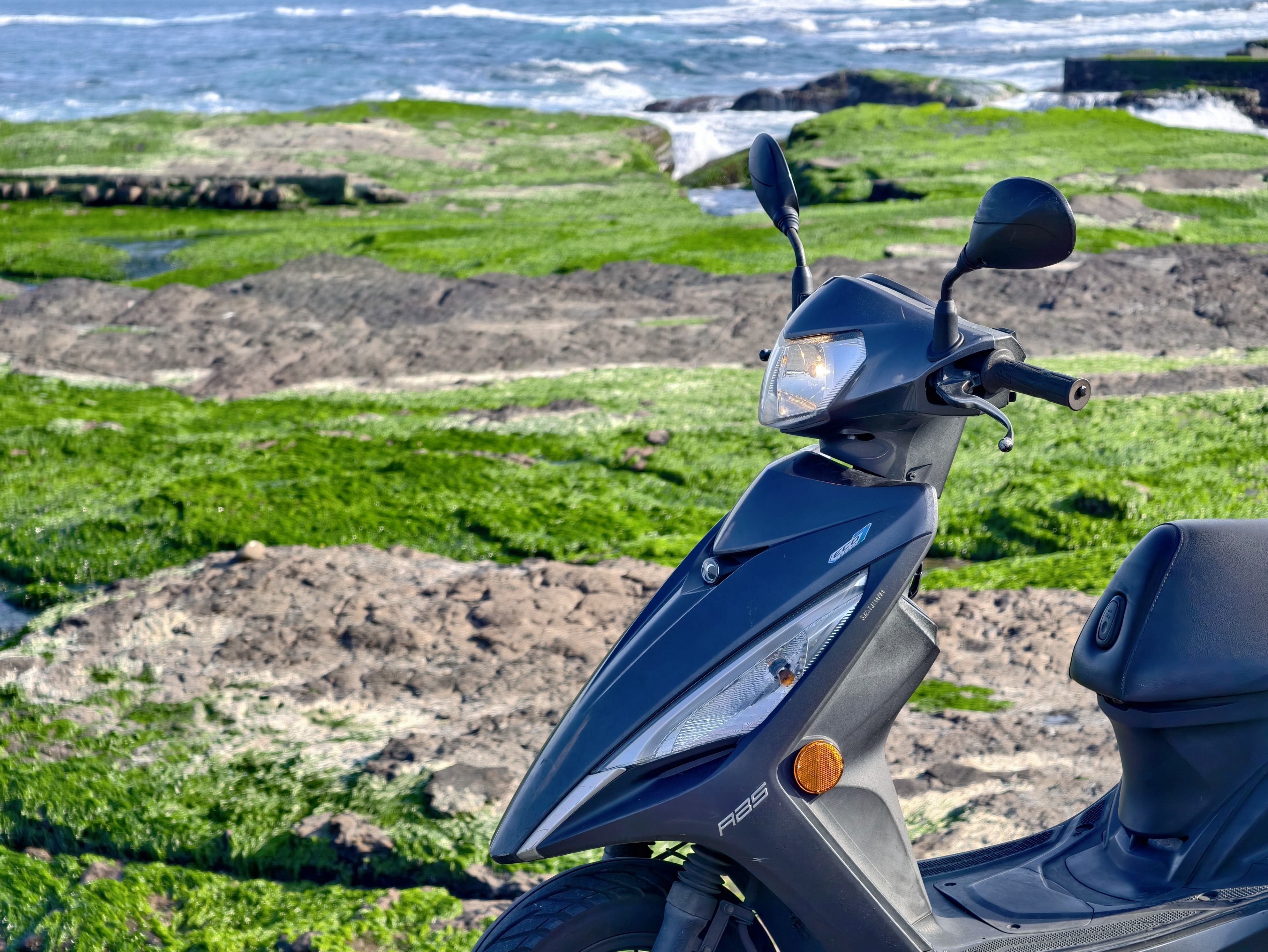 誰會在氣溫 15 度的時候，從台北騎車到馬崗漁港找海兔？（舉手，我）