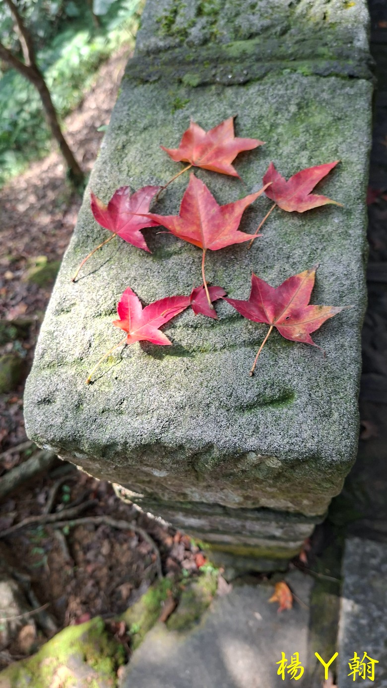【郊山走走】拱北殿、三秀山、北港山，上山腳滑，下山狼狽