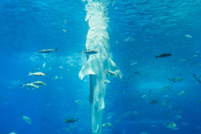 2025 沖繩耶誕之旅