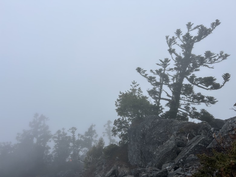 比玉山前峰還難爬的「南橫溪頭山」