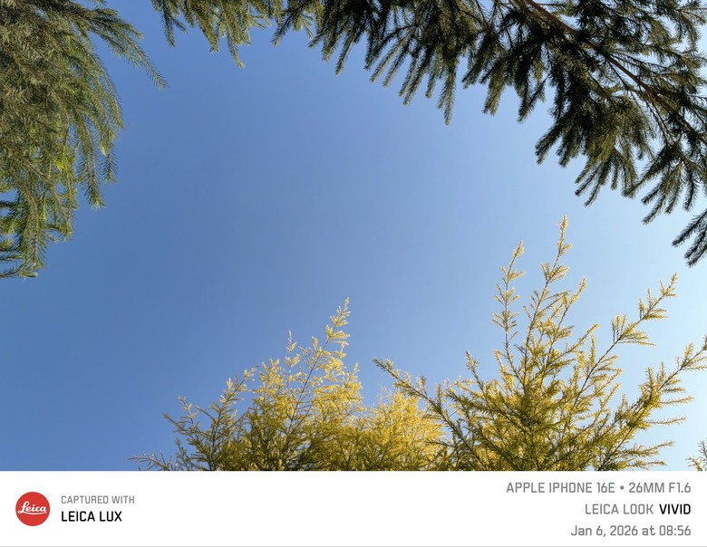 淺嚐徠味 Leica LUX 拍照APP 📷✨
