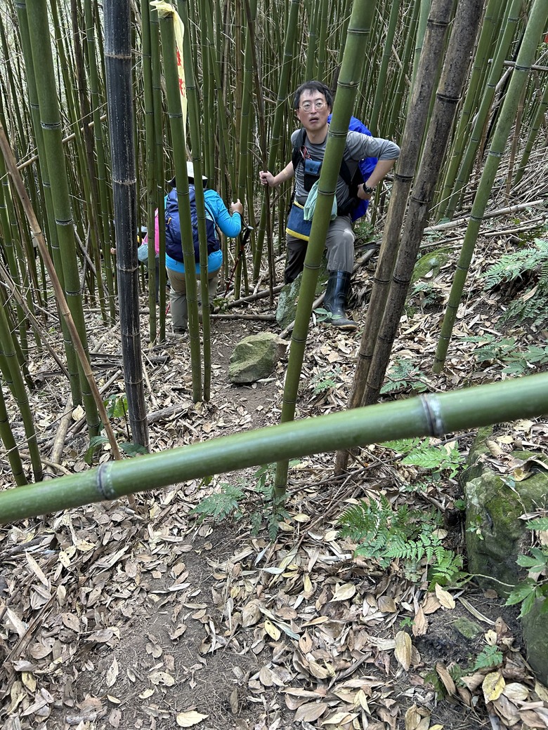 熊佧山、馬都安古道、南勢山北峰、烏嘎彥及鷂婆山一日遊