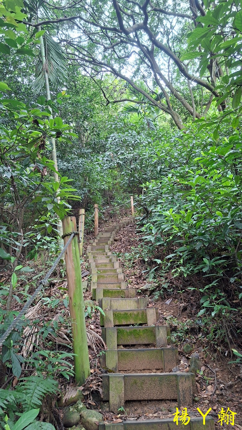 【郊山走走】尖凍山、瓊子湖山、山腳頂山 輕鬆走