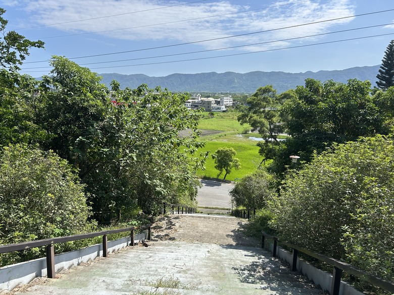 騎車摸蜆趣-花蓮壽豐落羽松秘境