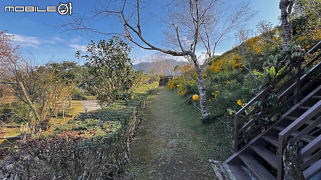 親子露營｜新竹尖石・享受冬日森林浴與百萬夜景