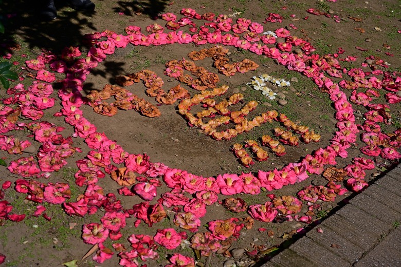 穿越冷冽山霧與崎嶇石階，停留繁花盛景——菜公坑山 O 型環走的人生縮影