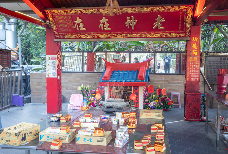 點我看大圖 南投國姓鄉賞梅小旅行|冬末年初最美風景