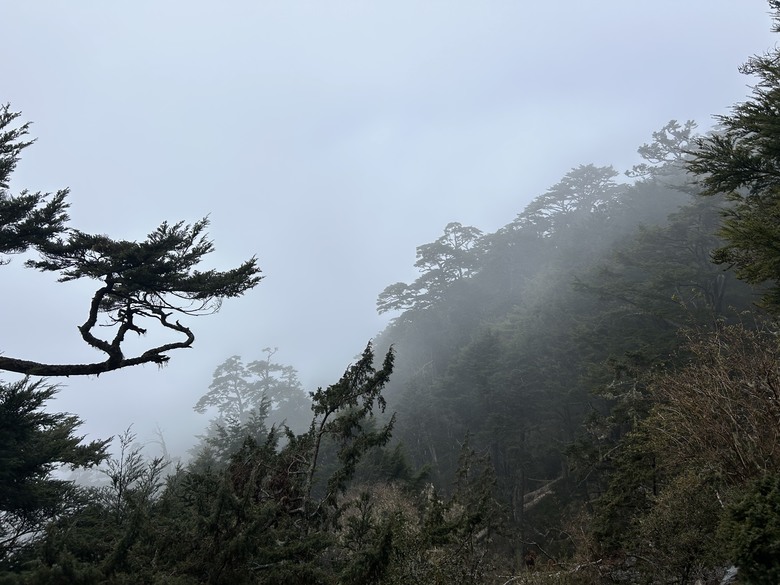 比玉山前峰還難爬的「南橫溪頭山」