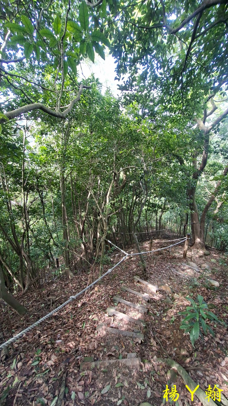【郊山走走】尖凍山、瓊子湖山、山腳頂山 輕鬆走