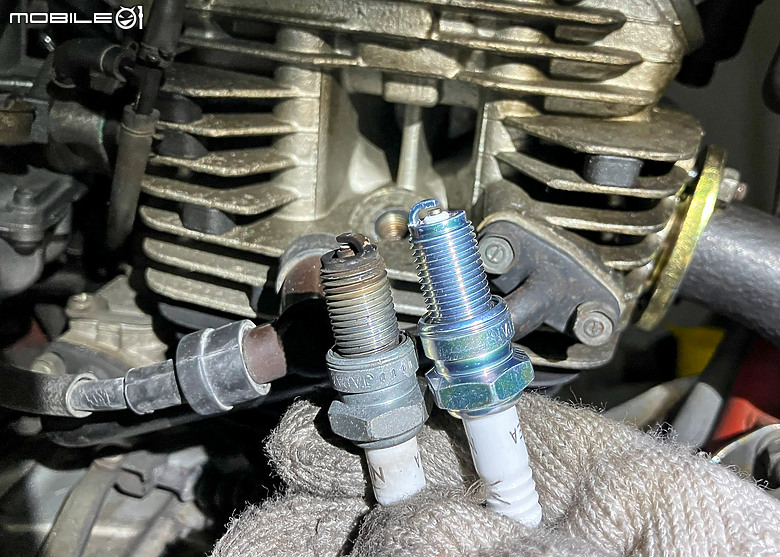 老野狼整新紀錄｜期望再戰十年伴兒同行！