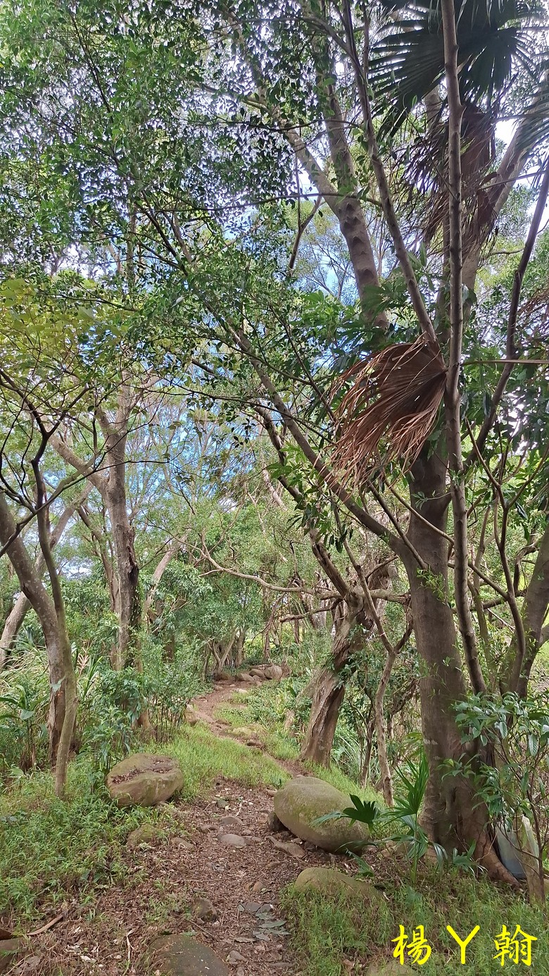【郊山走走】尖凍山、瓊子湖山、山腳頂山 輕鬆走