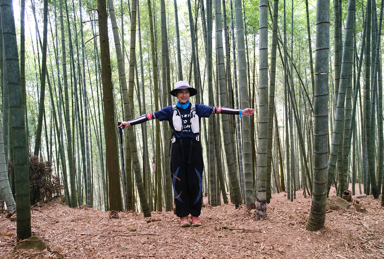 【溪頭四秀 】一條走在滿山竹林裡讓人快活的登山路線 | 溪頭山、竹崙山、志騰山、快活林