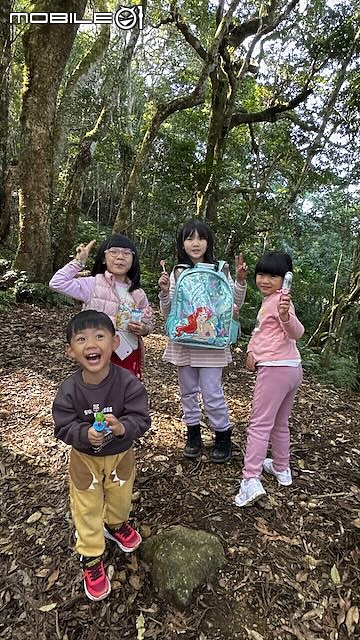 親子健行｜高台山：陪著孩子踏過樹根與泥土，陡上柳杉林探險！