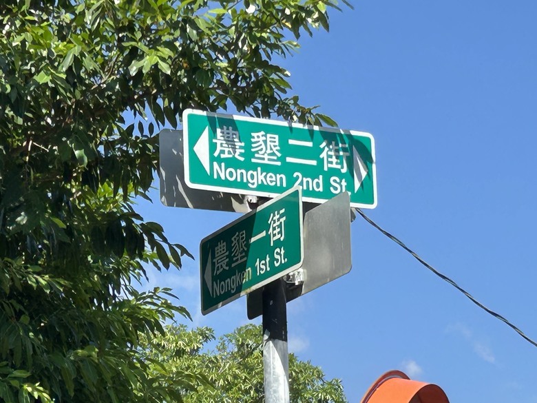 騎車摸蜆趣-花蓮壽豐落羽松秘境