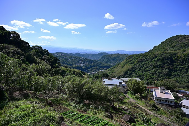 櫻花尚未綻放，古圳低語依舊：台北的山林散步 | 13.15km、4h08m
