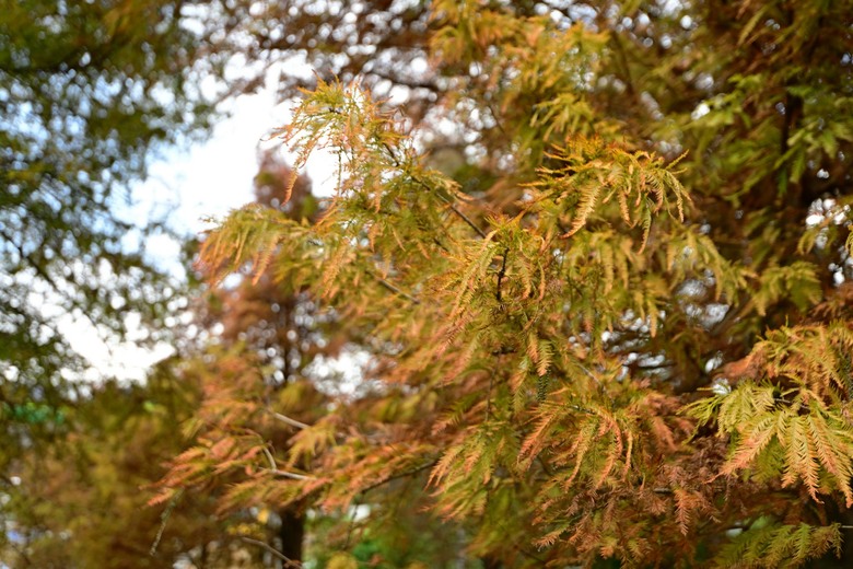 內湖健行一日環線|花海、瀑布、鯉魚山一次走完 | 7.30km、2h47m