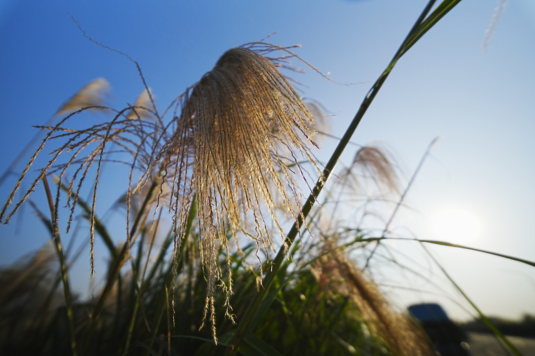 Laowa 12mm f/2.8 Lite Zero-D FF AF 評測報告｜377g 輕量超廣角、零畸變新篇章！