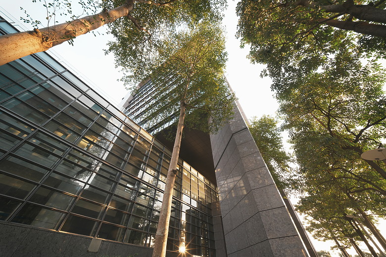 Laowa 12mm f/2.8 Lite Zero-D FF AF 評測報告｜377g 輕量超廣角、零畸變新篇章！