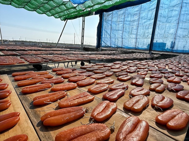 傳承四代工藝,烏魚子鮮甜回甘,蒲燒鰻肉質細緻、軟嫩