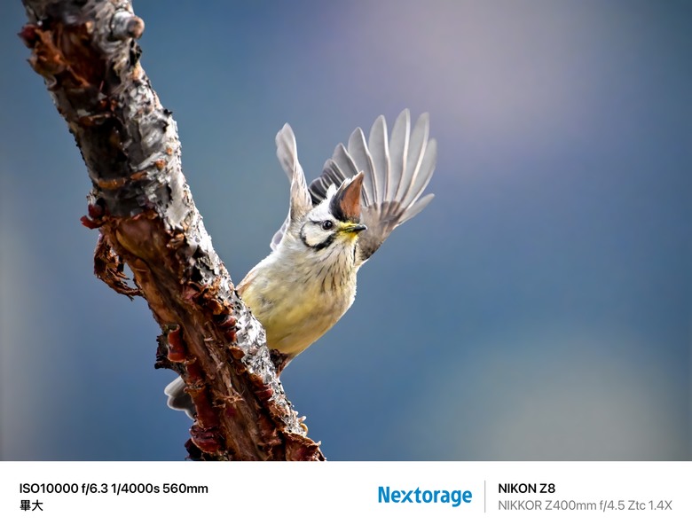 NEXTORAGE CFExpress B3-AE 500G記憶卡測試