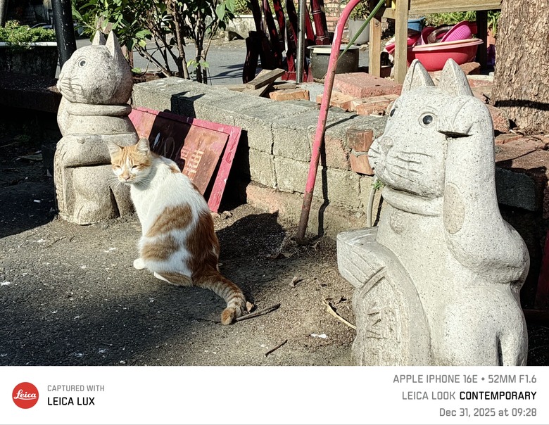 淺嚐徠味 Leica LUX 拍照APP 📷✨