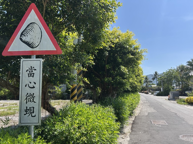 騎車摸蜆趣-花蓮壽豐落羽松秘境