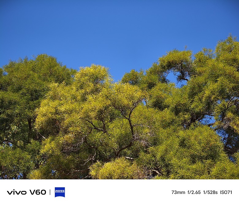 【 VIVO V60 】簡單的使用心得及照片分享