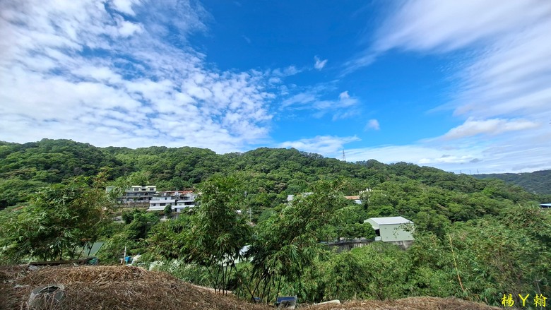 【郊山走走】尖凍山、瓊子湖山、山腳頂山 輕鬆走