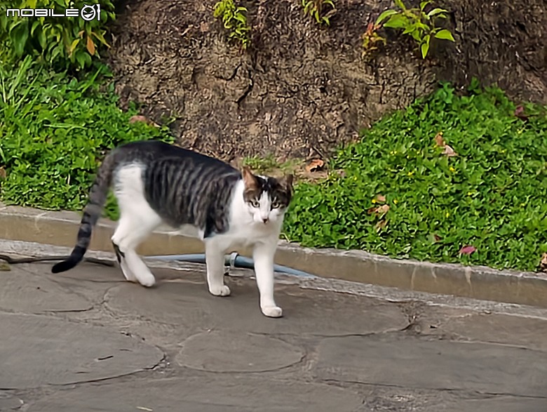 大溪老街(和平老街、中央老街、中山老街)、普濟堂、福仁宮、鎮豐宮、中正公園、大溪橋 — 2025年霜華大溪散策之一
