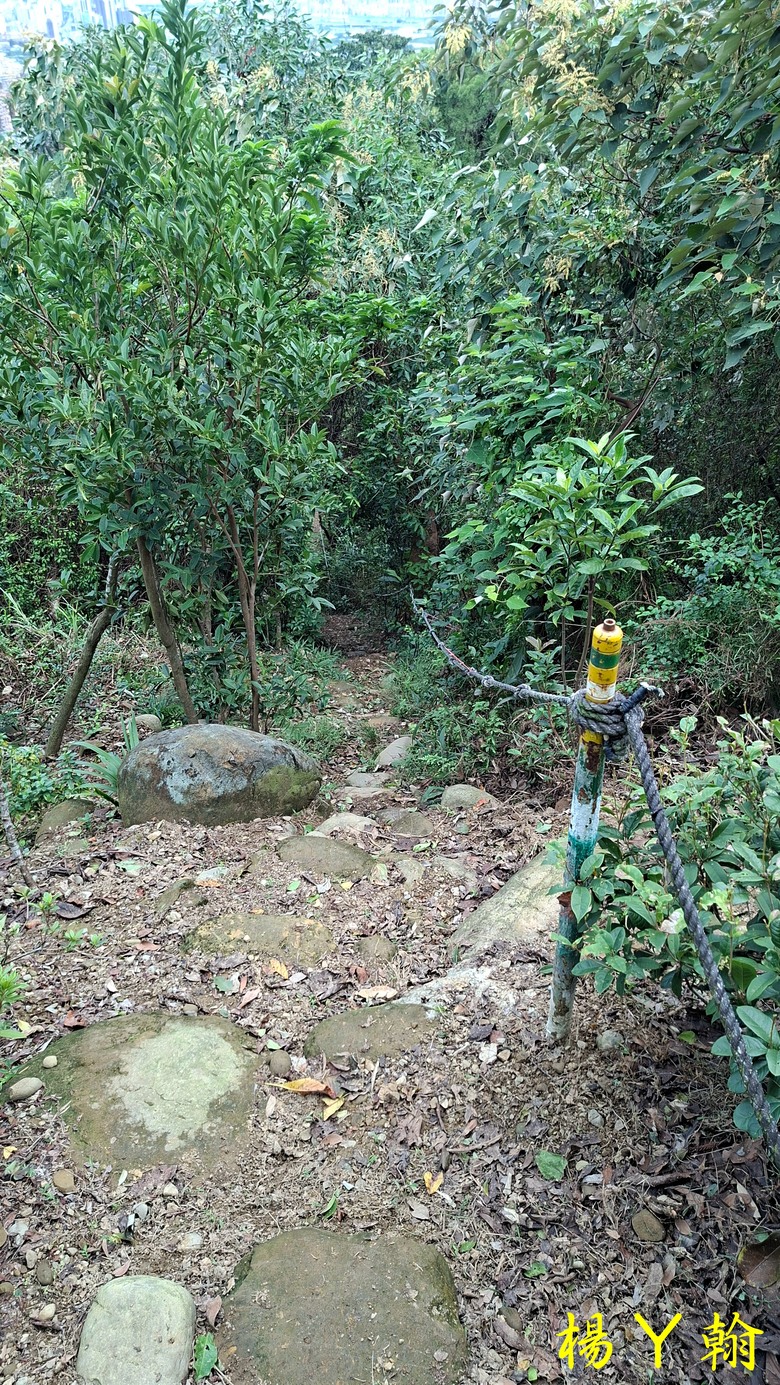 【郊山走走】尖凍山、瓊子湖山、山腳頂山 輕鬆走